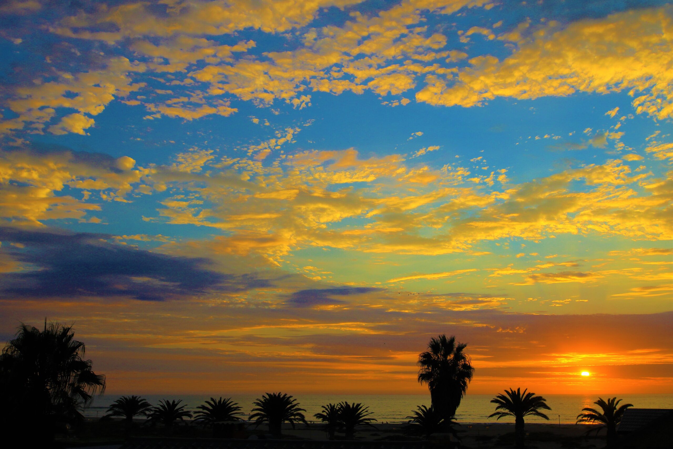 1_-N9itIZGxd2FvtbbDnlQIg